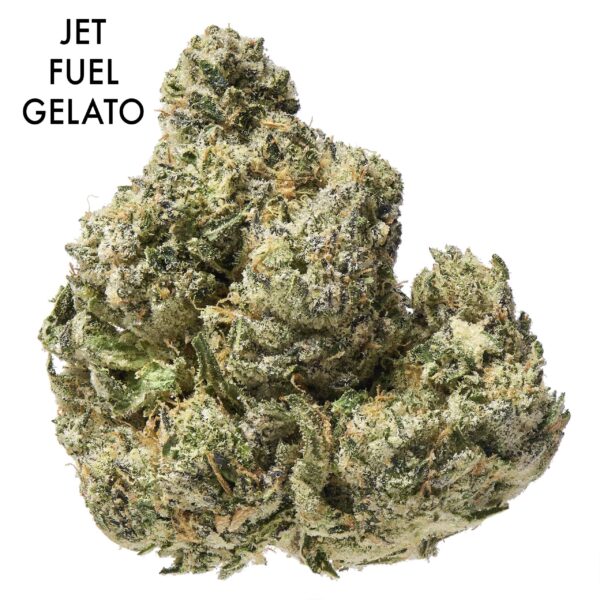ON SPECIAL FLOWER - Jet Fuel Gelato