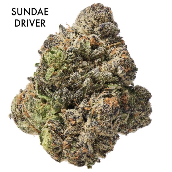 ON SPECIAL FLOWER - Sundae Driver