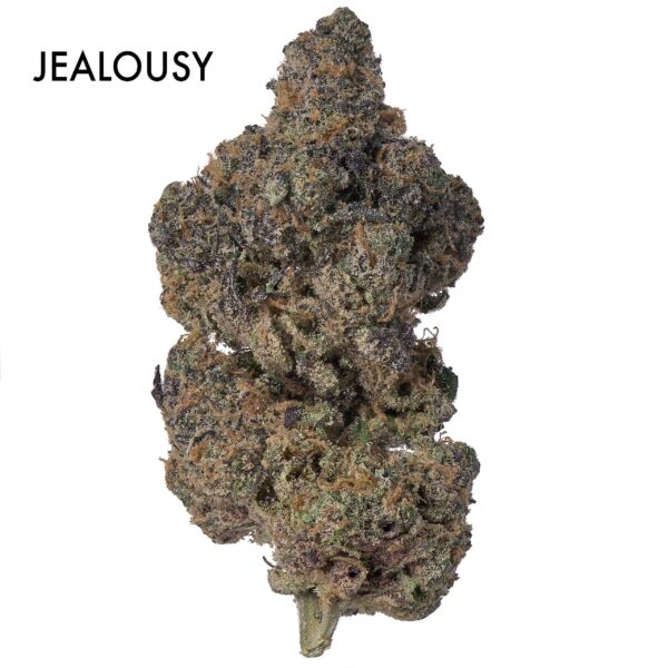 ON SPECIAL FLOWER - Jealousy