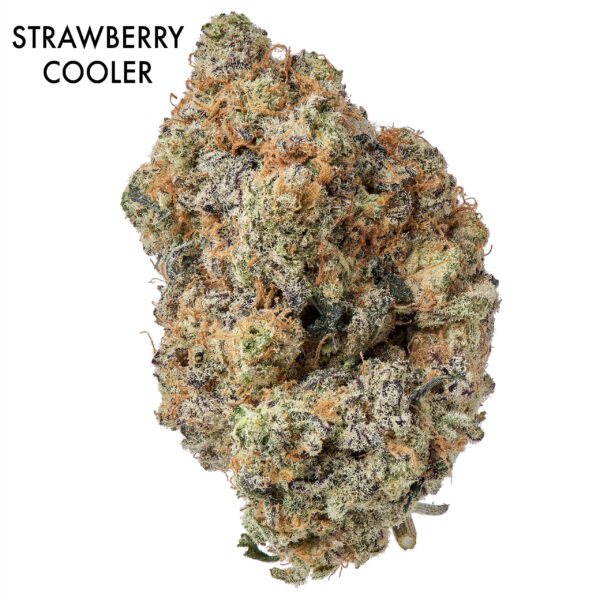 ON SPECIAL FLOWER - Strawberry Cooler